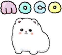 Dog Salon&Hotel moco
